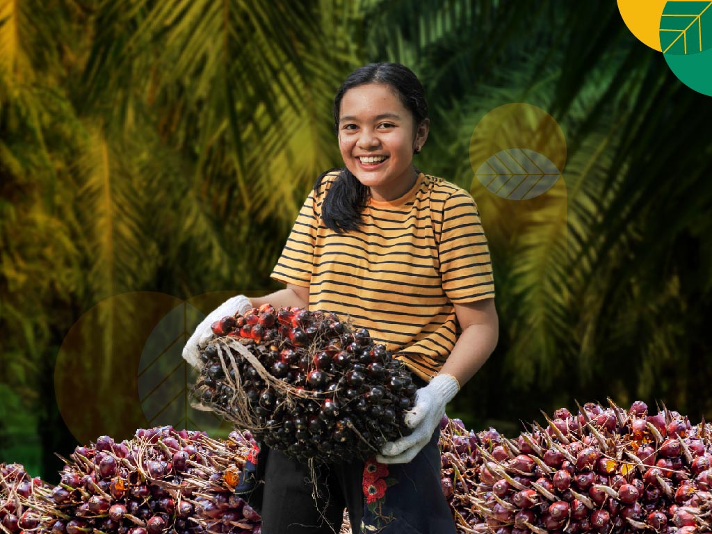 Harga TBS Kelapa Sawit di Riau Naik Jadi Rp2.446,99/Kg