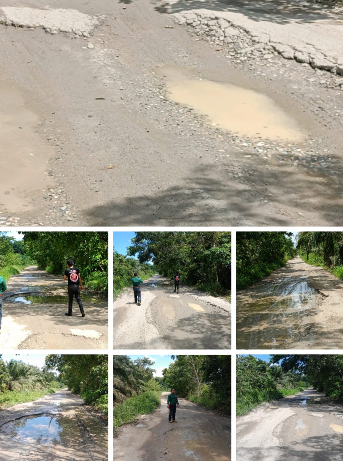 Dua Tahun Jalan Desa Sekeladi Rohil Rusak Parah, SPKN Nilai Pemkab Rohil Tutup Mata