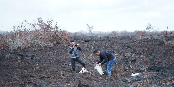Polisi Amankan Enam Pelaku Pembakaran Lahan di Riau, Ada Ayah dan Anak