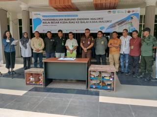 Enam Burung Kakatua Maluku Dipulangkan ke Habitat Asli
