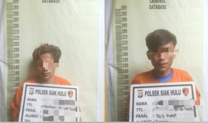 Curi Alat-alat Tukang, Dua Pelaku Diringkus Polsek Siak Hulu
