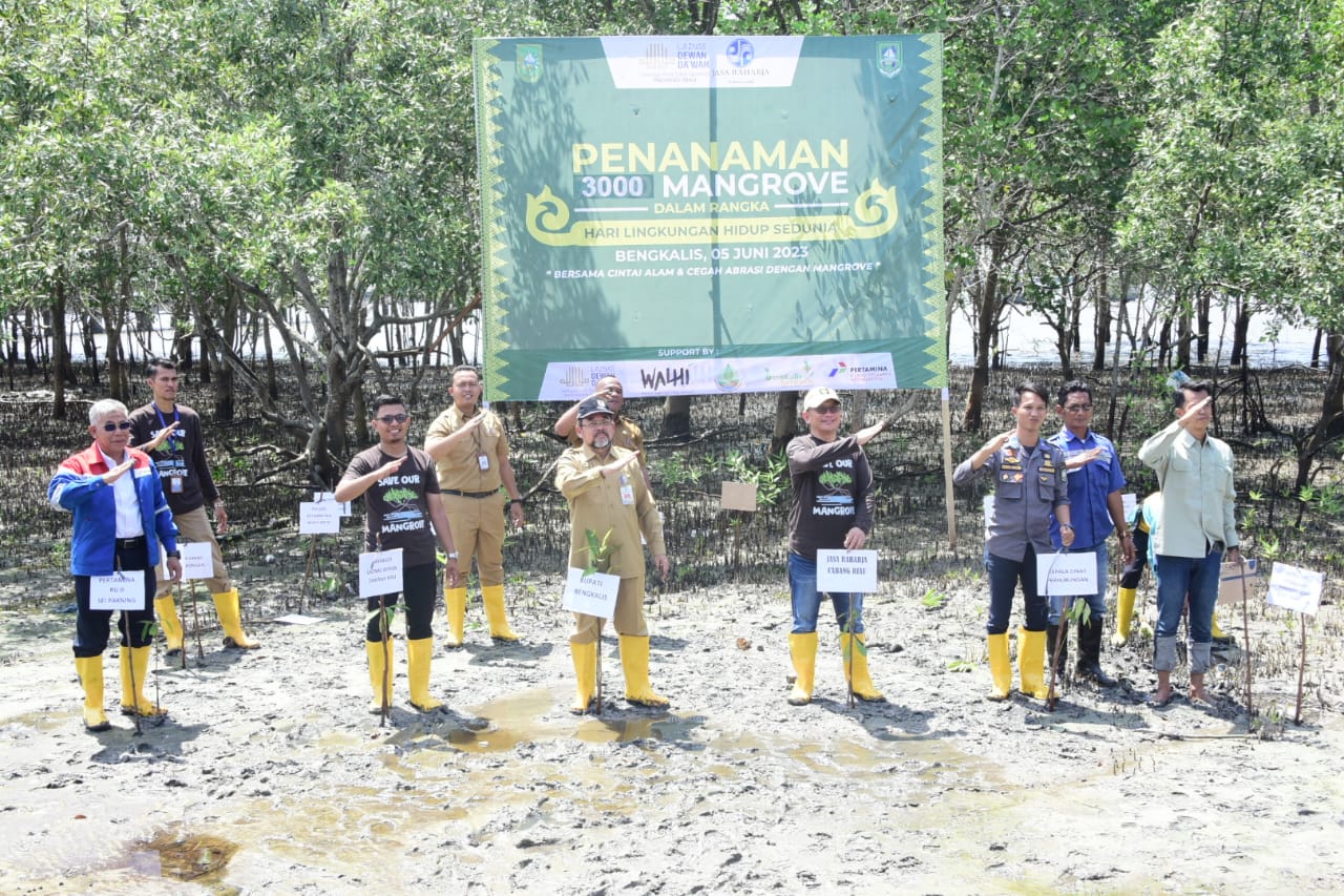 Guna Lestarikan dan Cegah Abrasi,Bustami HY Buka Talk Show Penanaman 3000 Mangrove
