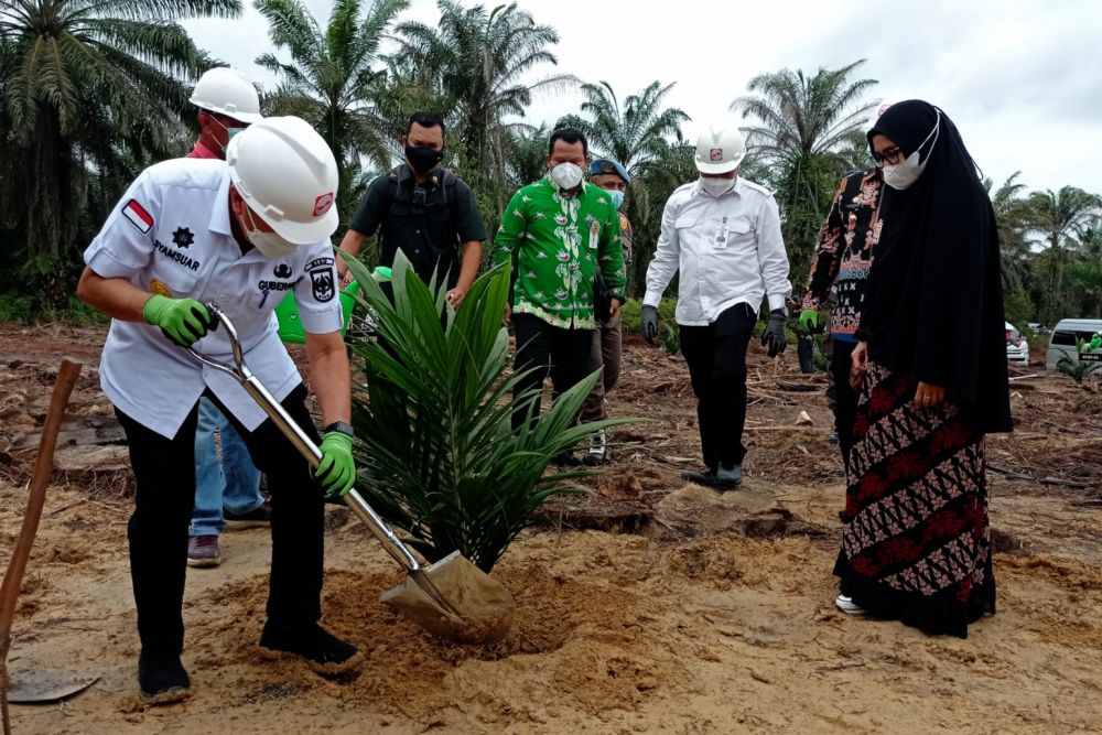 Progres Peremajaan Sawit Rakyat di Riau Capai 1.573,1125 Ha