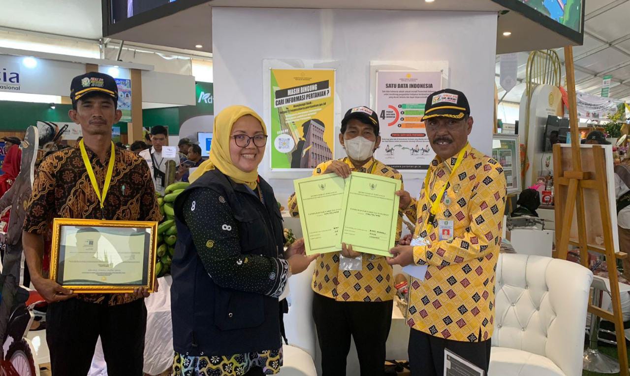 Asli Bengkalis, Durian Laksamana dan Durian Idola Laksamana Kini Terdaftar di Kementan