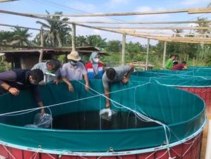 BUMN bersama Warga Siak Budidaya Ikan Lele
