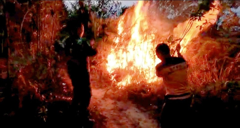 Hutan Lindung Bukit Suligi Riau Terbakar, Pemadaman Dilakukan dengan Water Booming