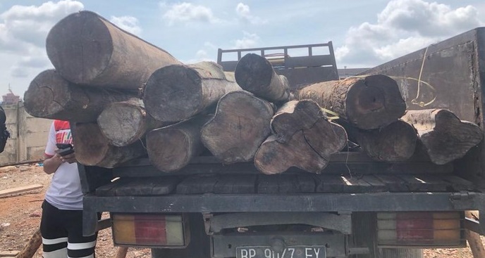 Polisi Amankan 84 Ton Kayu Mahang Ilegal Asal Inhil-Riau, 5 Pelaku Ditangkap