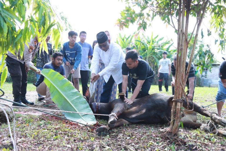 Kapolres Kampar Turun Langsung Sembelih Hewan Kurban