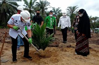 Progres Peremajaan Sawit Rakyat di Riau Capai 1.573,1125 Ha