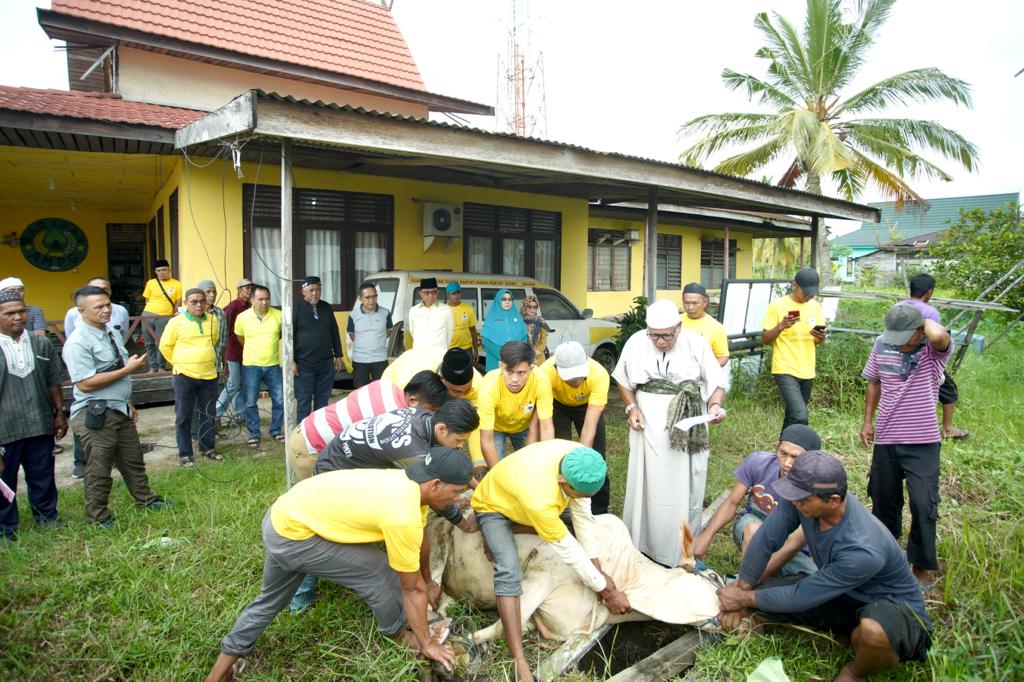 Total Hewan Kurban di Inhil Capai 2005 Ekor Sapi, Bupati Wardan Apresiasi Warga