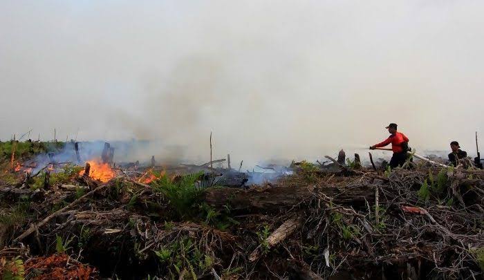 BPBD Catat Sudah Terjadi 36 Kasus Kebakaran Lahan di Pekanbaru Sepajang 2023Â