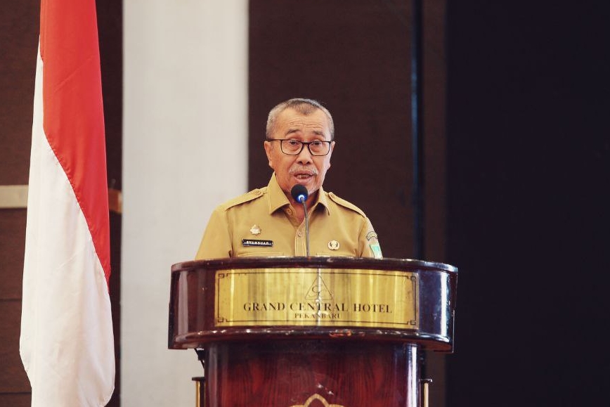 Bukan Pekanbaru, Ini Lima Kabupaten Kota di Riau Paling Diminati Investor