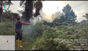 Kawanan Gajah Liar di Rumbai Digiring ke Tahura Minas