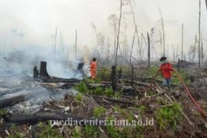 Petugas Gabungan Berhasil Padamkan Karhutla di Desa Teluk Bano Rohil