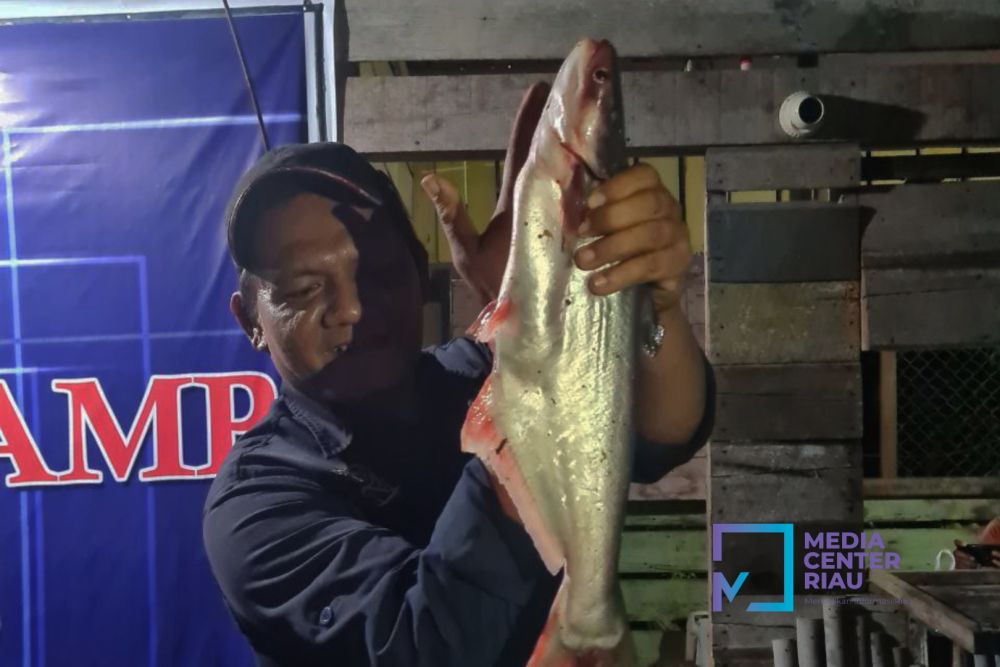 Pencemaran Air Sungai Siak di Tualang Tunggu Uji Sampel