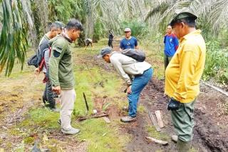 Ada Laporan Harimau Masuk Kebun, BBKSDA Riau Pasang Kamera Trap di TKP
