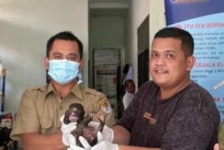 BKSDA Riau Terima Bayi Beruang Madu dari Warga Siberia Inhu
