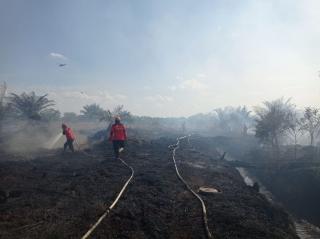 Lahan di Okura Pekanbaru Terbakar, Polisi Tetapkan Satu Tersangka