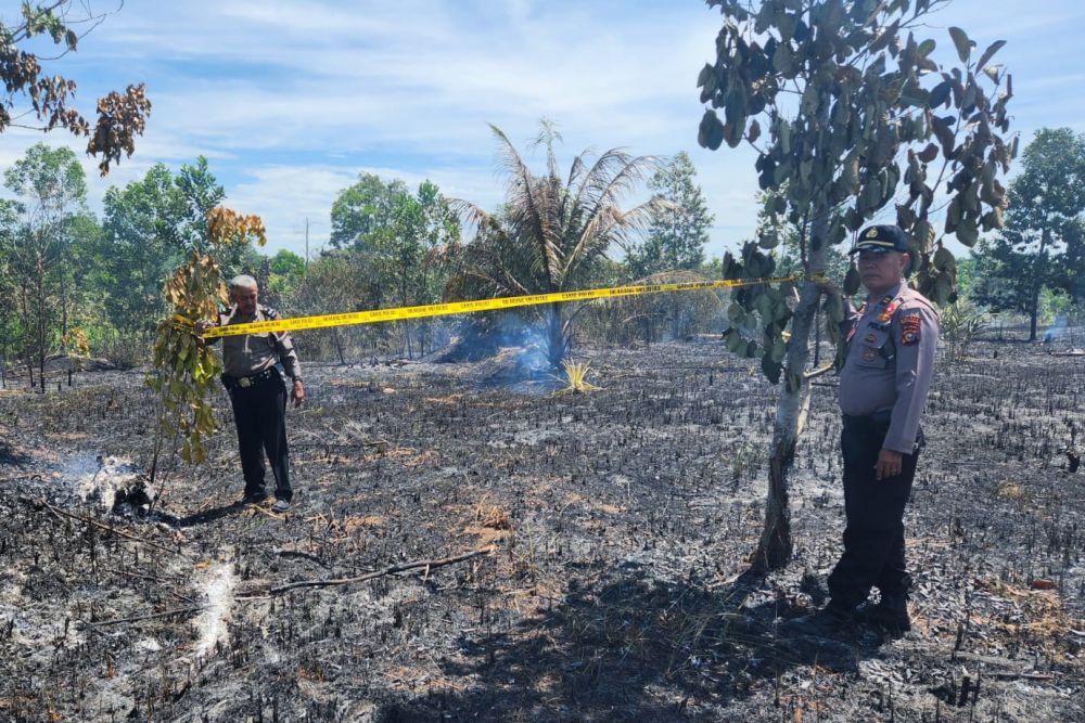 Polisi Tangkap Pelaku Pembakaran Lahan 1,5 Ha di Bengkalis
