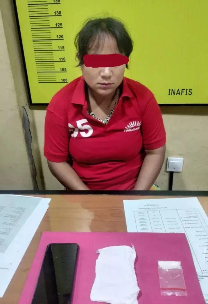 Miliki Sabu 3,12 Gram, Seorang Ibu Rumah Tangga di Rohul Riau Diringkus Polisi