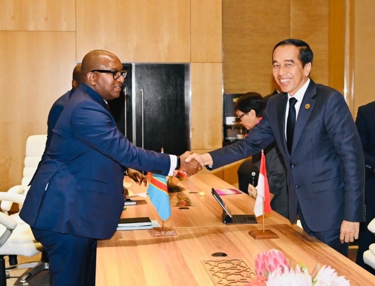 Presiden Jokowi Siap Dukung Pengelolaan Hutan hingga Pengembangan Hilirisasi Industri di Kongo