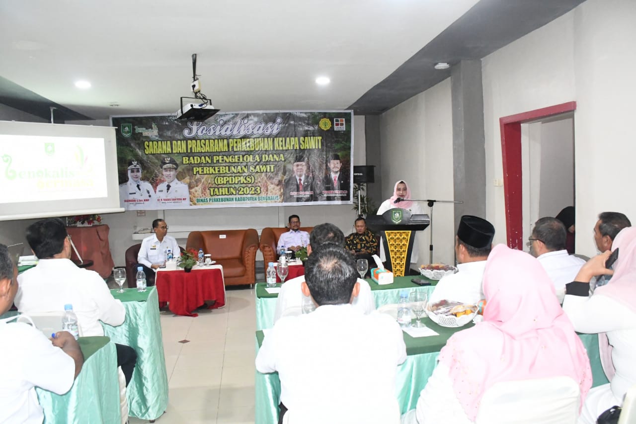 Bupati Kasmarni Dukung Percepatan Pengembangan Perkebunan Kelapa Sawit