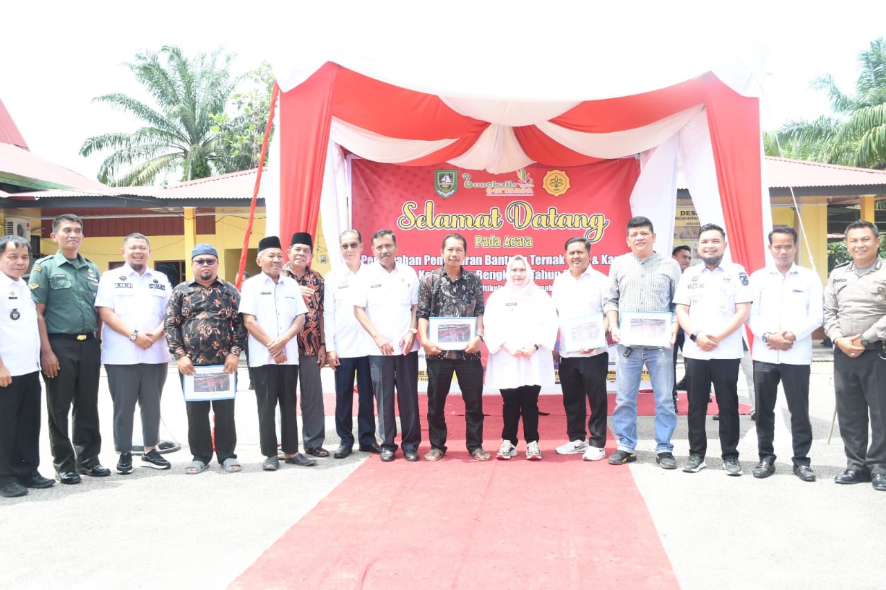 Bupati Kasmarni Serahkan Bantuan Ternak Sapi dan Kambing