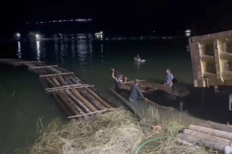 Sepanjang 2023, Polda Riau Tangani 10 Kasus Pembalakan Liar