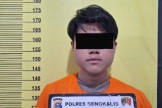 Hotman Paris Pertanyakan Status Tersangka Pria yang Pasang Bendera Merah Putih ke Leher Anjing di Ri