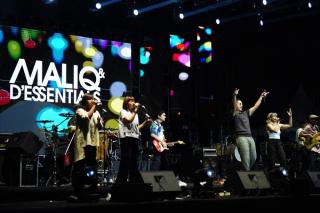 Konser Birdy Show, D