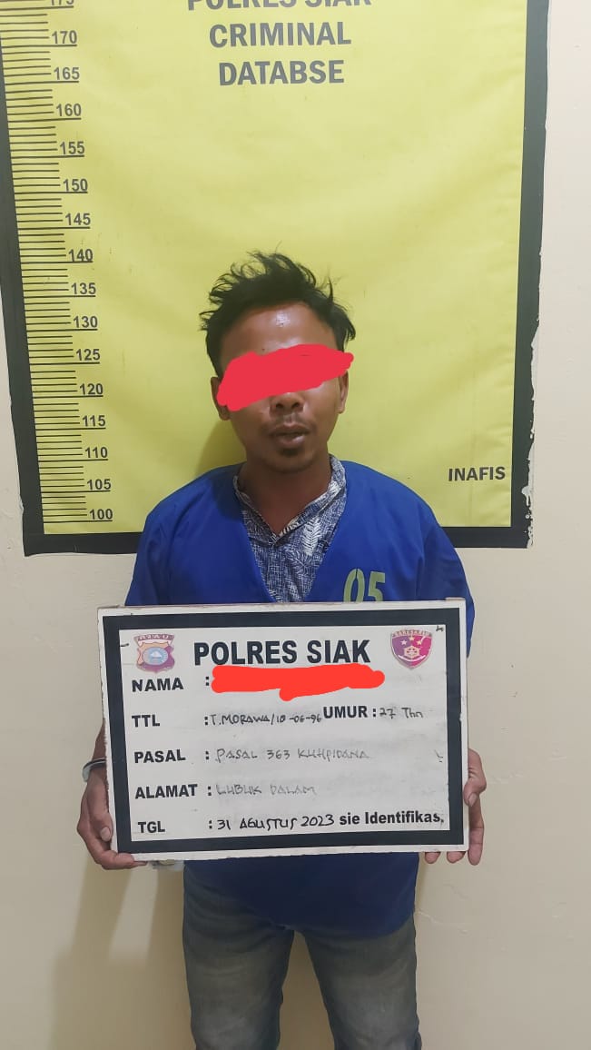 Polisi Bekuk Pelaku Pencurian Aki Alat Berat dan Dump Truk Milik PTPN V