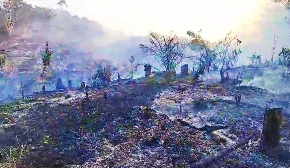 Karhutla di Kampar Riau Hanguskan 7 Hektare Lahan
