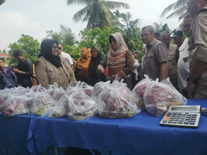 TPID Riau akan Lanjutkan Program GNPIP di 43 Titik