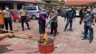 Polsek Bukit Raya Musnahkan Ganja 3,5 Kg dan 260 Butir Pil Riklona
