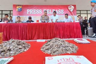 Polda dan BKSDA Riau Tangkap Penjual Kulit Tenggiling di PekanbaruÂ 