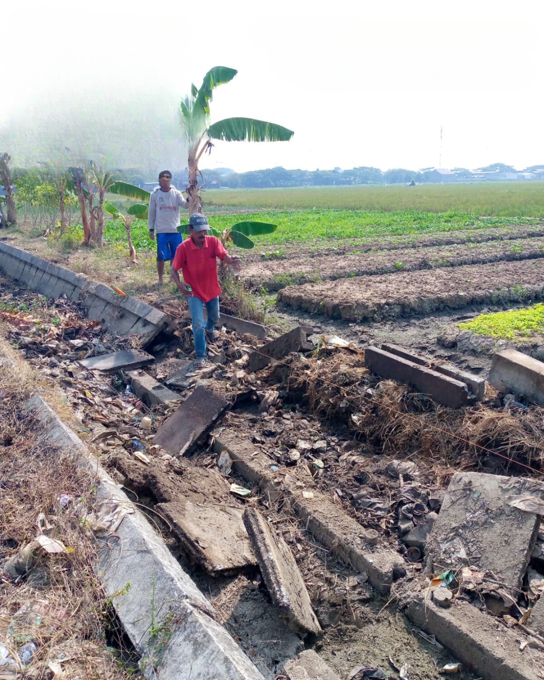 PI Niaga Bantu Irigasi Petani di Cilegon