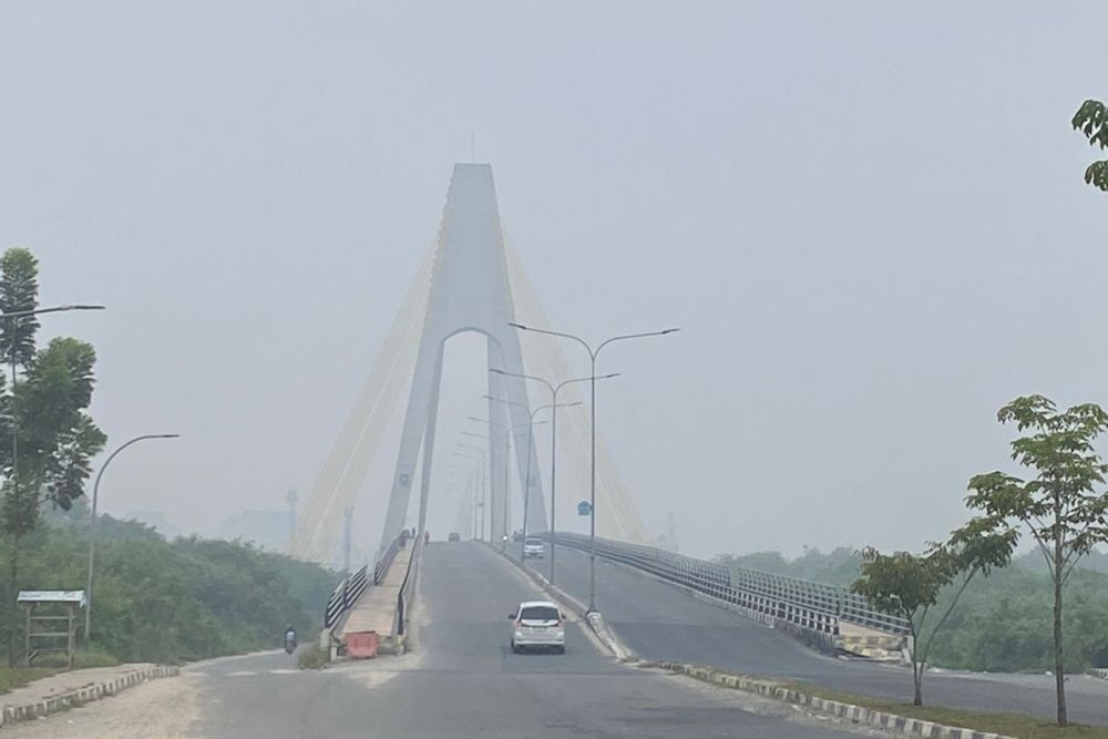 BPBD Riau Pastikan Karhutla di Riau Terkendali, Kabut Asap Datang dari Daerah Lain