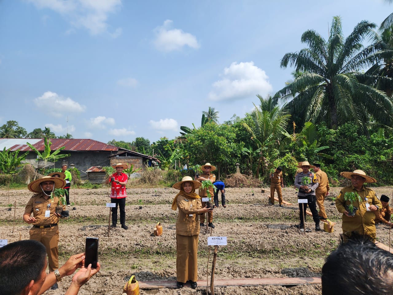 Pemkab Bengkalis Dorong Produktivitas Pertanian di Negeri Junjungan