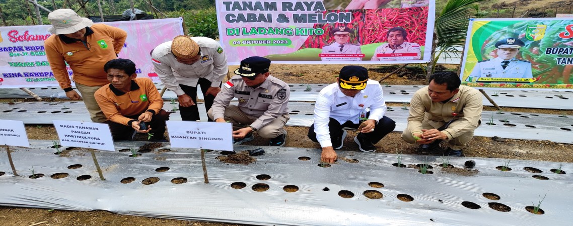Bersama Ketua KTNA, Bupati Tanam Cabai dan Melon