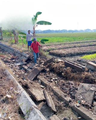 PI Niaga Bantu Irigasi Petani di Cilegon