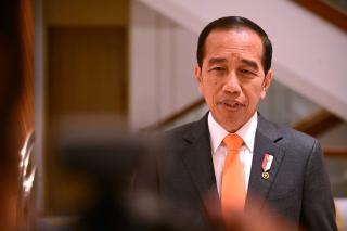 Terkait Putusan MK dan Bakal Capres-Cawapres, Presiden: Saya Tidak Mencampuri