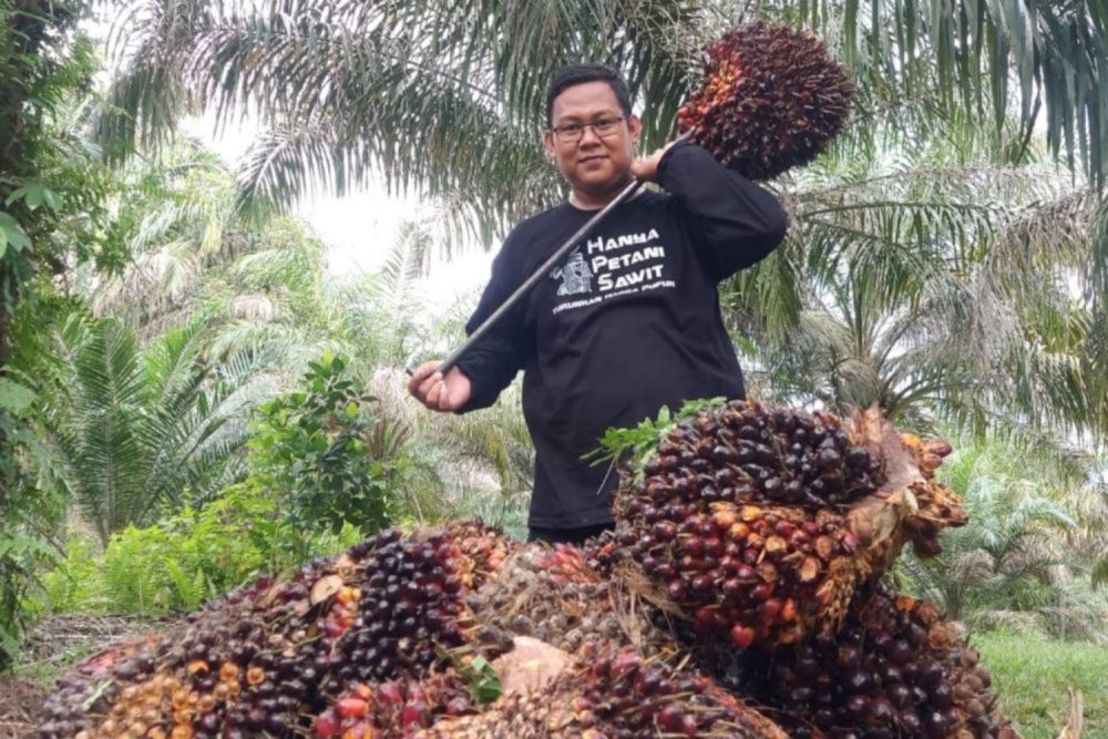 Harga Kelapa Sawit Petani Mitra Swadaya di Riau Turun Jadi Rp 2.463,72/Kg