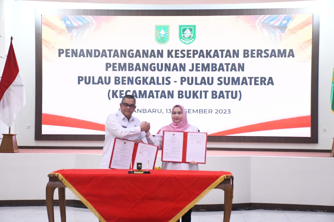 Kalahkan Suramadu, Riau Bakal Punya Jembatan Terpanjang di Indonesia