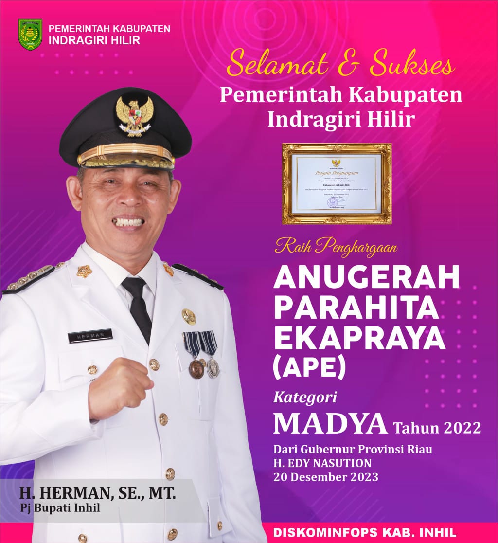 Pemkab Inhil Terima Penghargaan APE Kategori Madya 2022