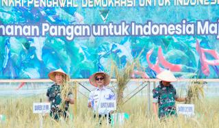 Kick Off Gerakan Nasional Ketahanan Pangan, Pj Bupati Kampar Bersama Danrem 031/Wira Bima Panen Padi