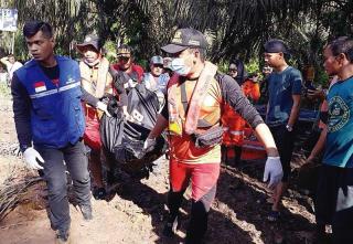 Diterkam Buaya, Pemuda di Dumai Ditemukan Meninggal Dunia