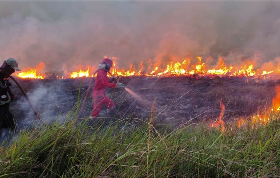 Sepanjang 2023, 2.632 Ha Lahan Terbakar di Riau 