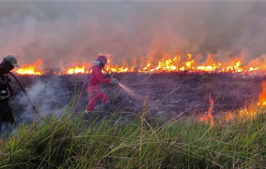 Sepanjang 2023, 2.632 Ha Lahan Terbakar di RiauÂ 