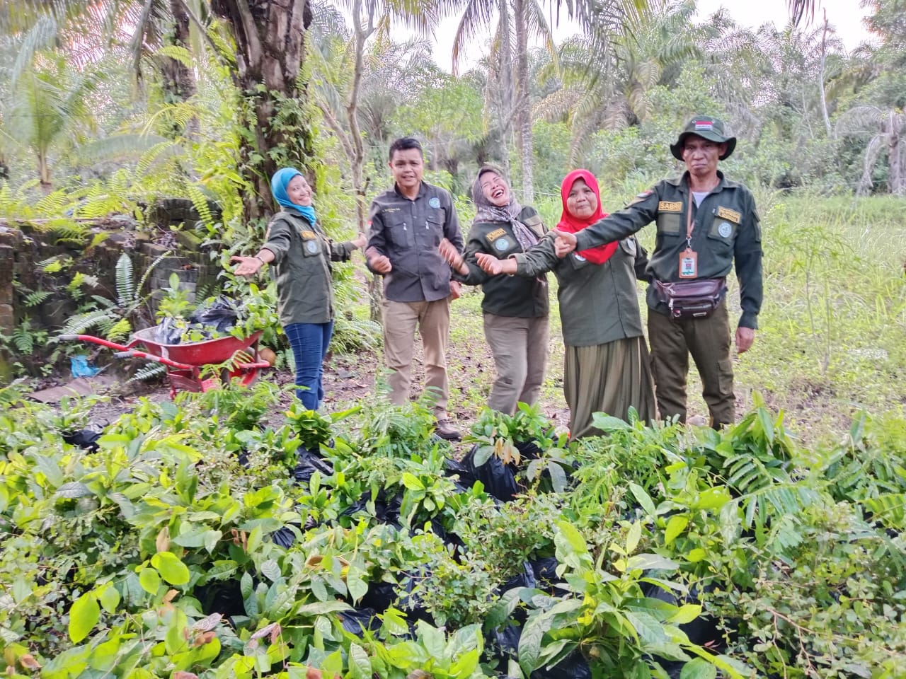 Riau Dilanda Banjir, Yayasan Salamba Lakukan Pemulihan DAS