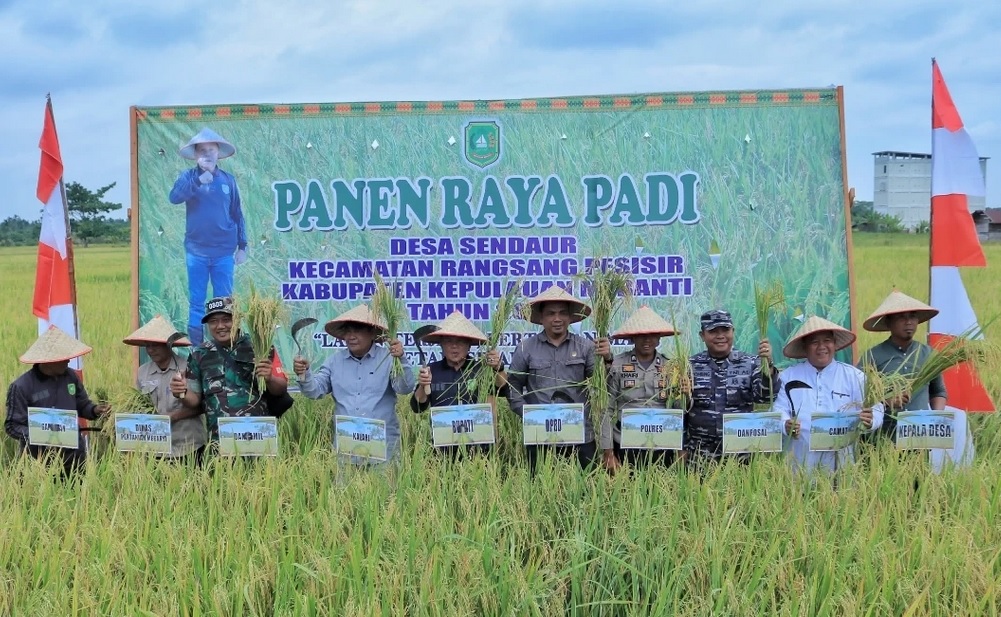 Plt Bupati Asmar Ikuti Panen Raya Padi di Desa Sendaur